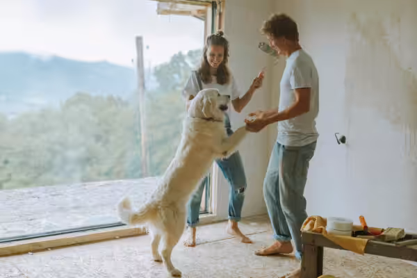 Couple doing home renovations with a playful dog